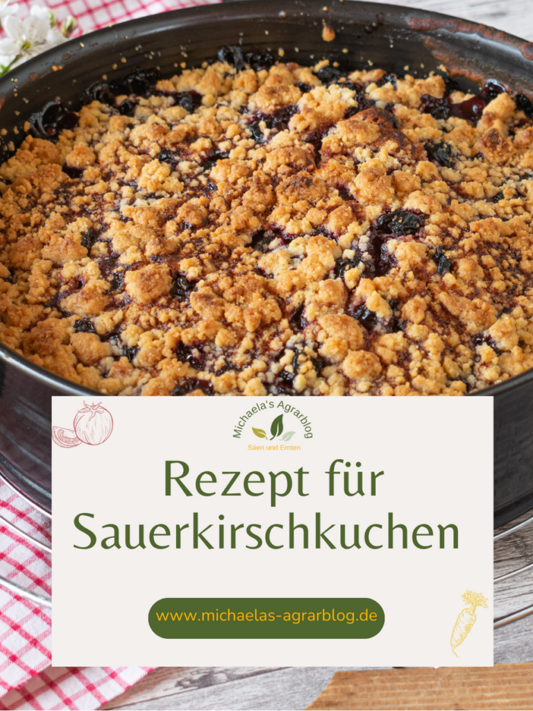 Sauerkirschkuchen mit Streusel