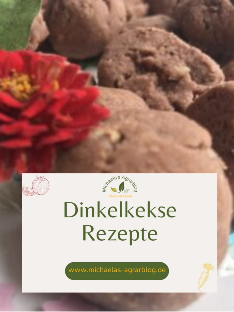 Dinkelkekse Rezept