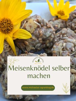 Meisenknödel herstellen mit Kindern