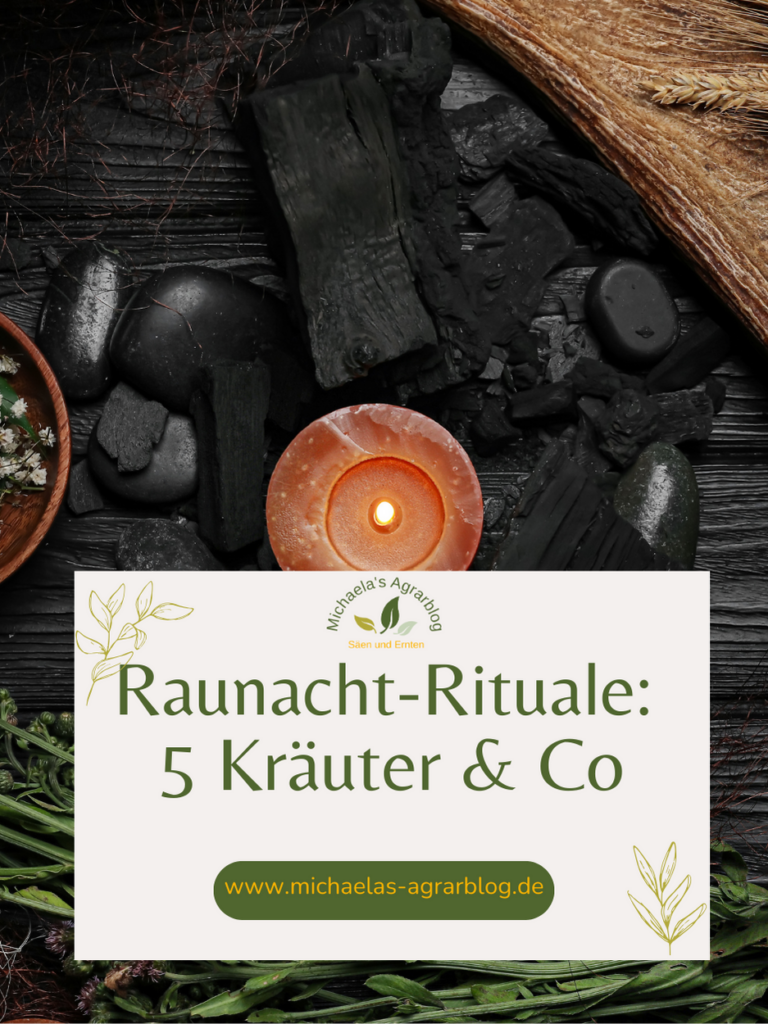 Rituale zur Wintersonnenwende