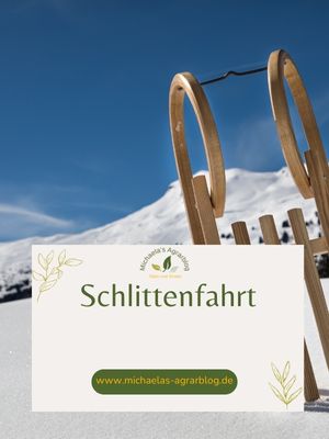 Schlittenfahren mit Kindern