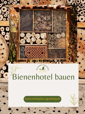 Bienenhotel mit Kindern basteln