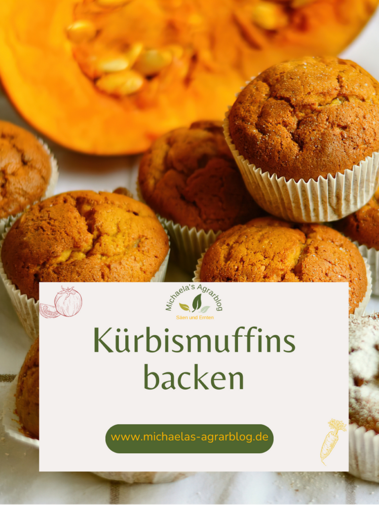 Kürbismuffins vegan