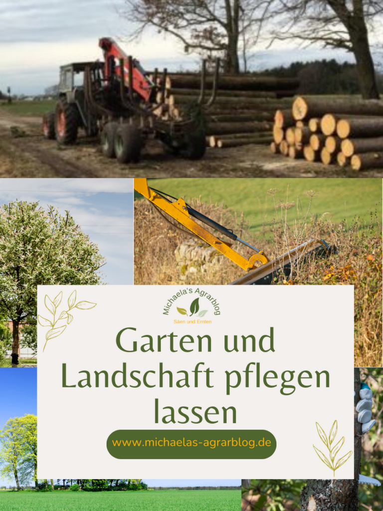 Garten pflegen lassen