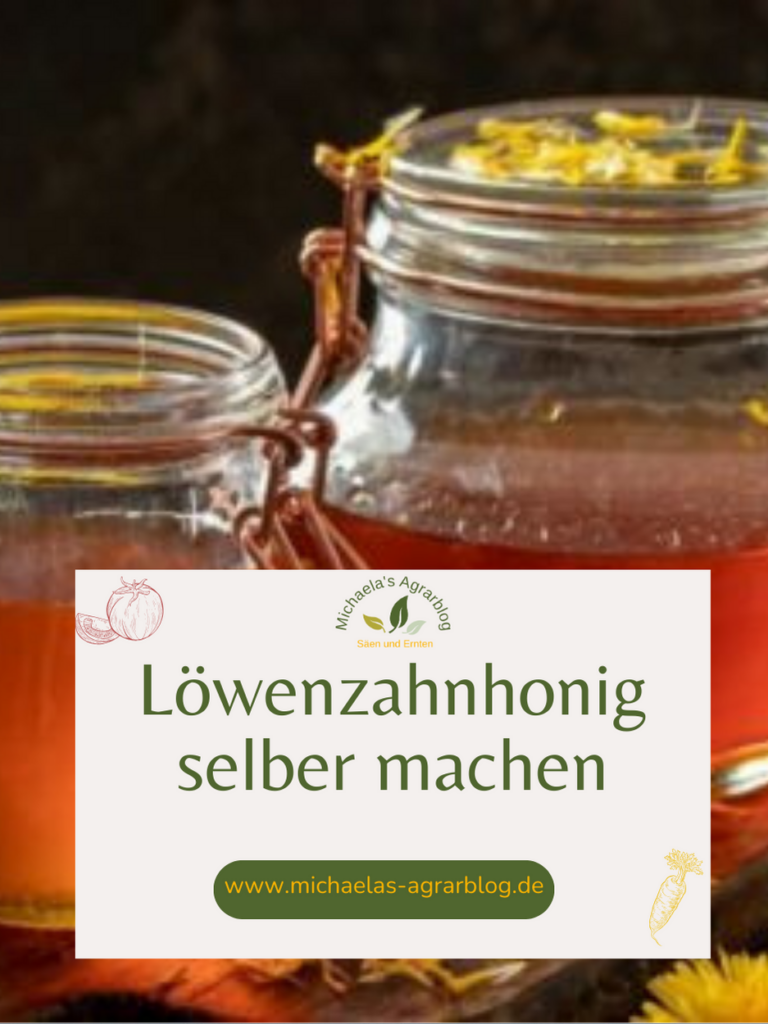 Löwenzahnhonig Wirkung