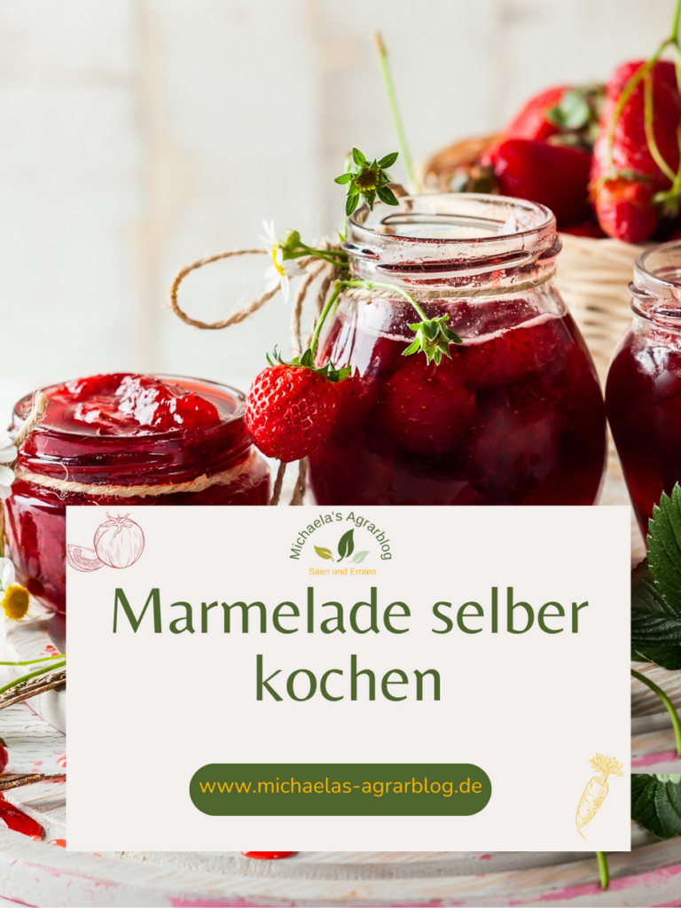 Marmelade selber kochen