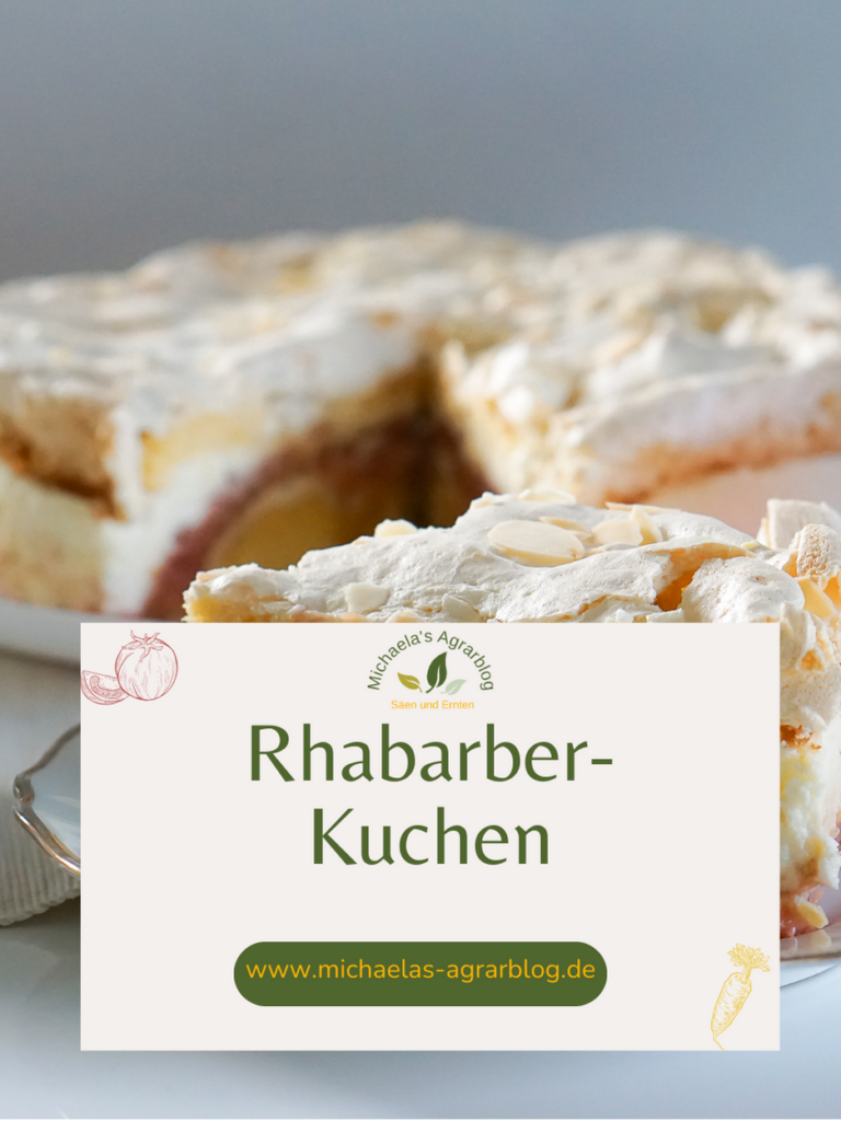 Rhabarberkuchen gesund