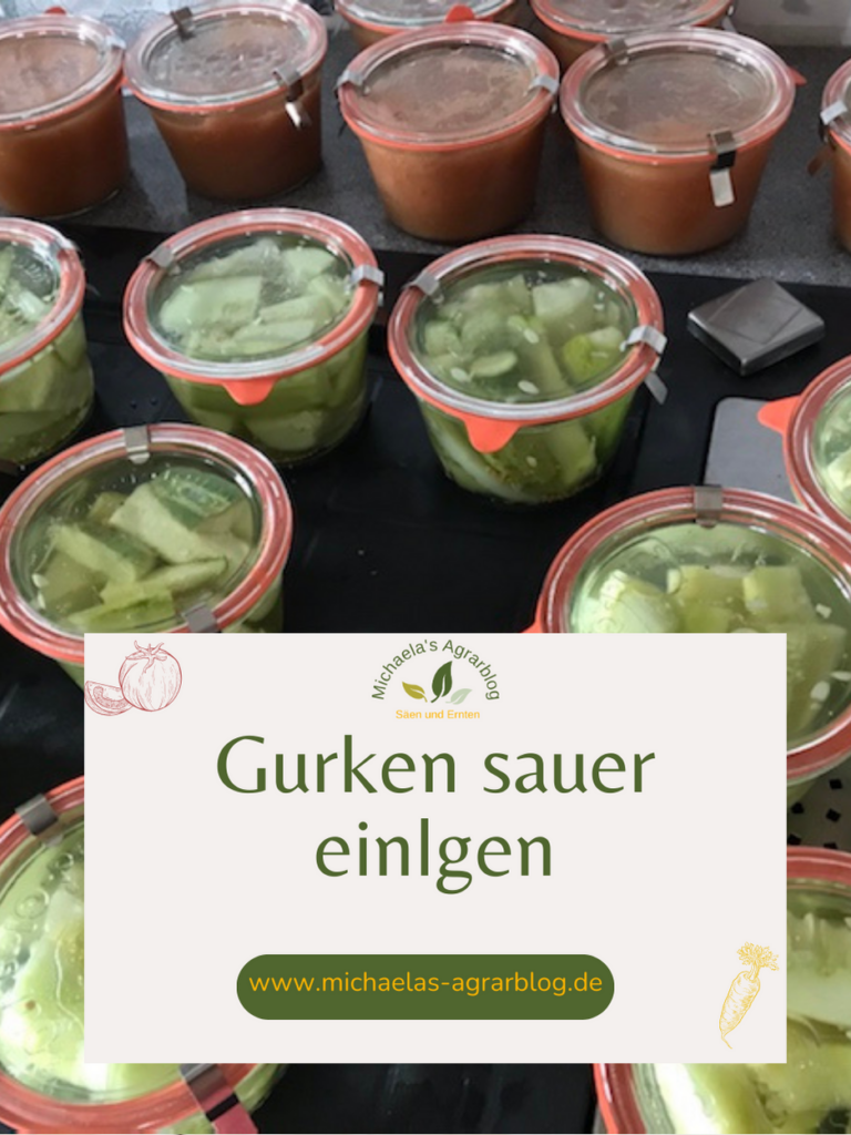 Gurken sauer einlegen