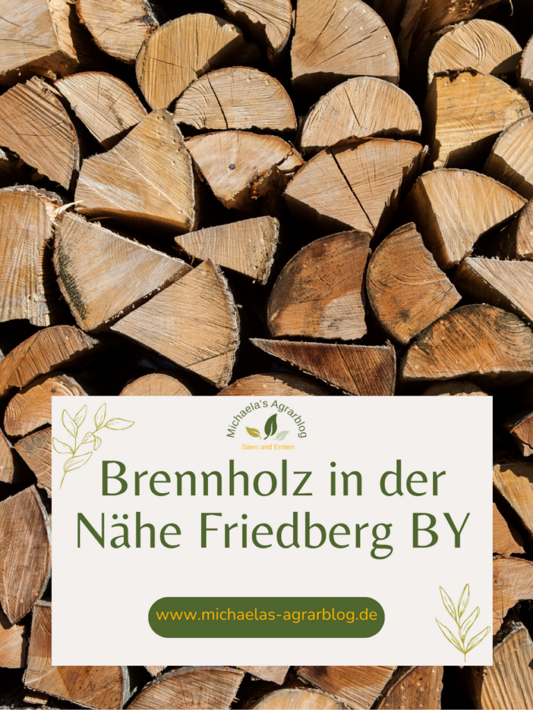 Brennholz kaufen