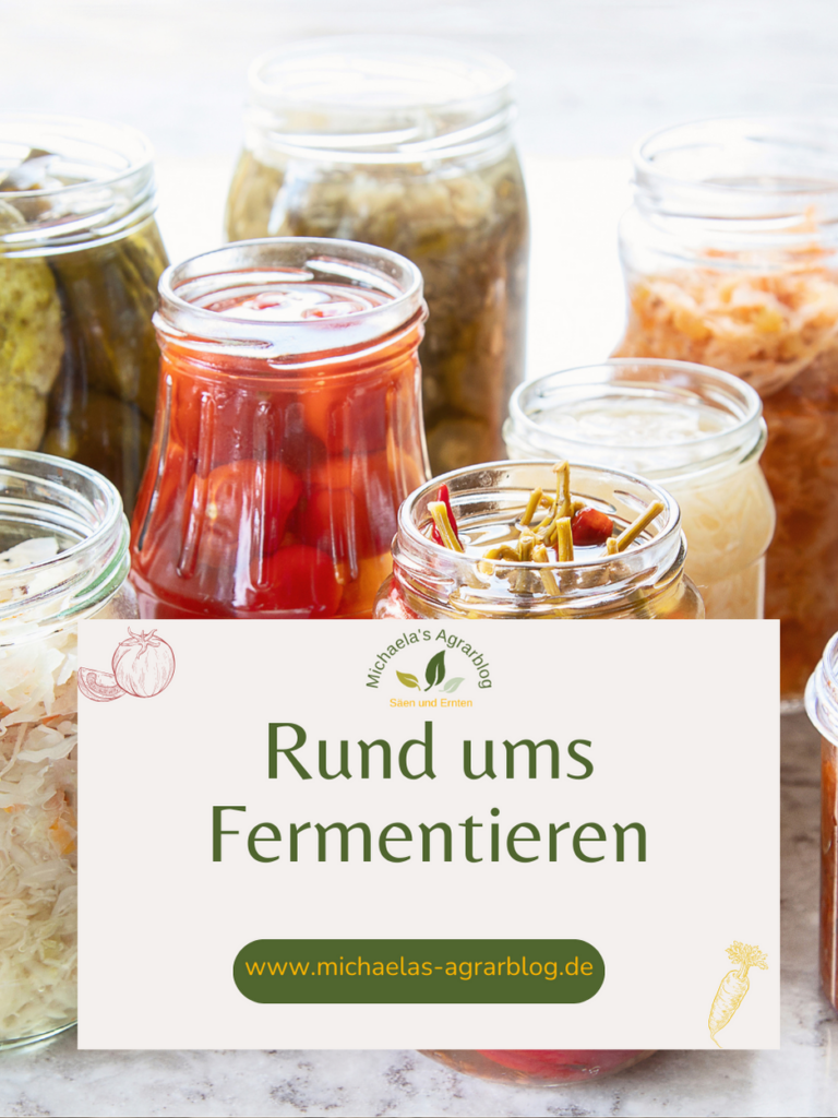 Fermentations Glas