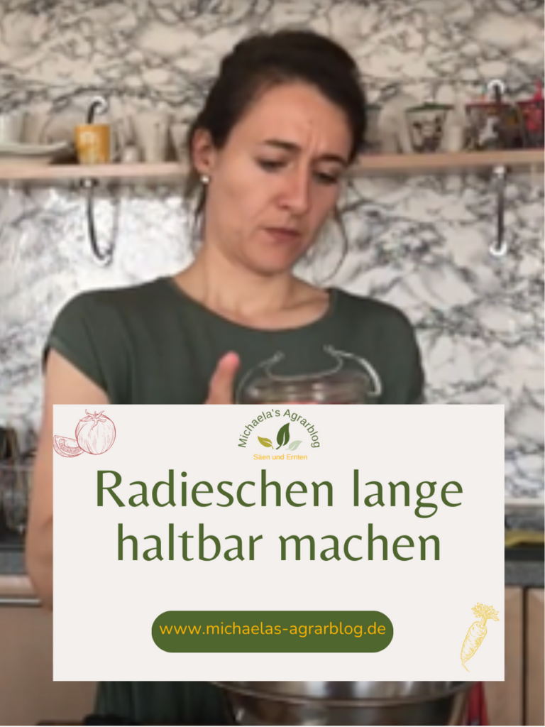 Radieschen lange haltbar machen