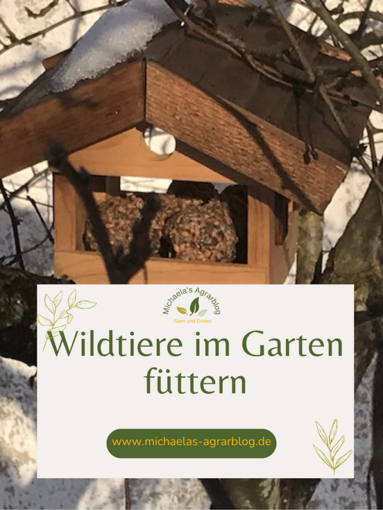 Wildtiere im Garten füttern