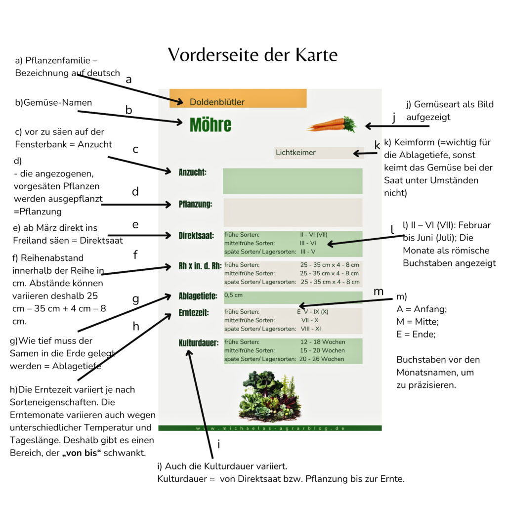 Mischkultur Anbauplan Puzzelkarte